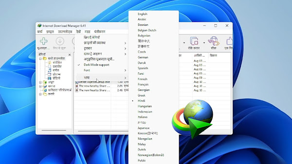 IDM language settings interface showing English selection