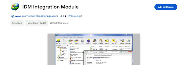 IDM Chrome Web Store Page