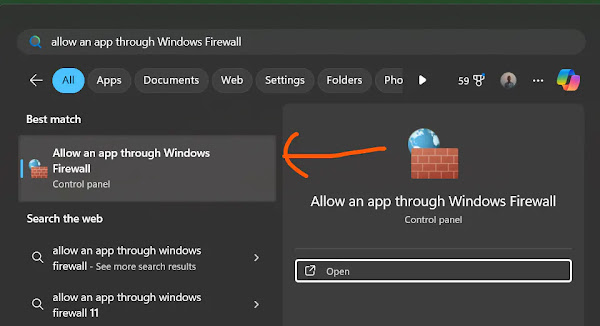 Allow IDM in Windows 11 Firewall