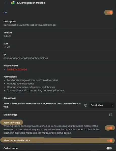 Brave Browser IDM Settings
