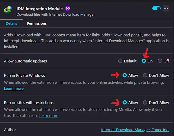 IDM Firefox Error Solutions