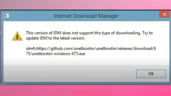 Fix » This version of IDM does not support this type of downloading